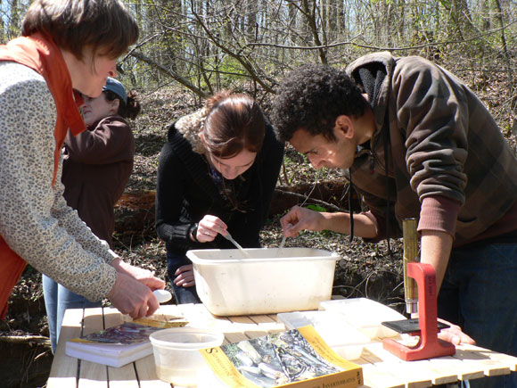 4 - Lynn Rust helps search for macroinvertebrates